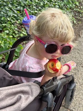 Toddler in a stroller wearing sunglasses and holding an apple